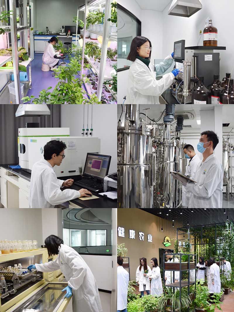 “全國科技工作者日”：推動農(nóng)業(yè)綠色高質(zhì)量發(fā)展，新朝陽科研人在路上