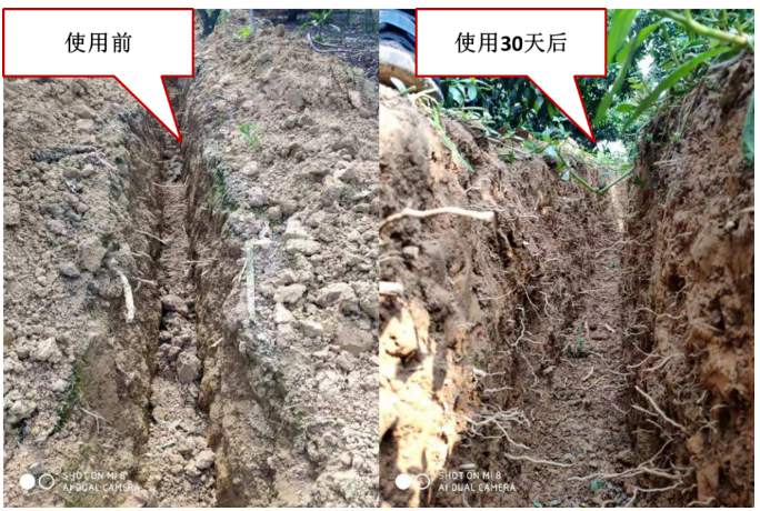 “土壤板結(jié)克星”：土壤調(diào)理劑你了解多少？